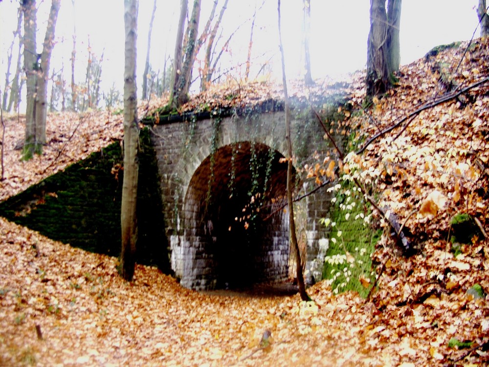 Alte Eisenbahnbrücke