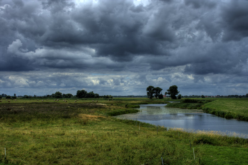 Alte Elbe