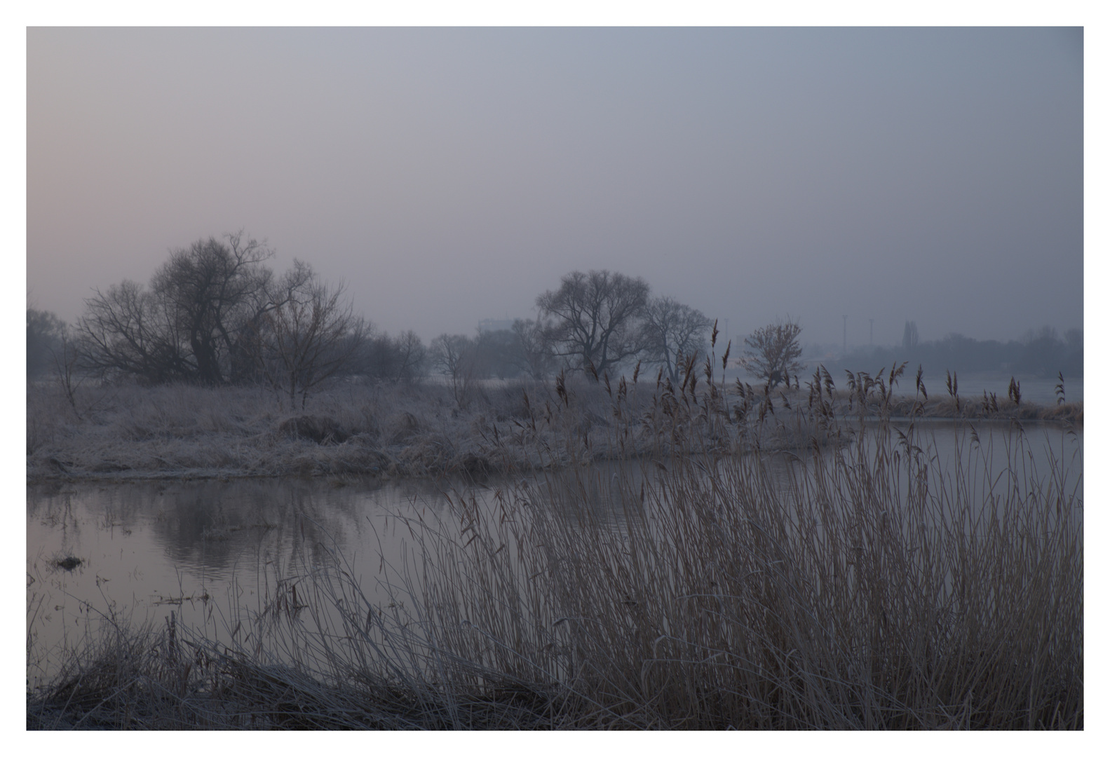 Alte Elbe an einem kalten Morgen...