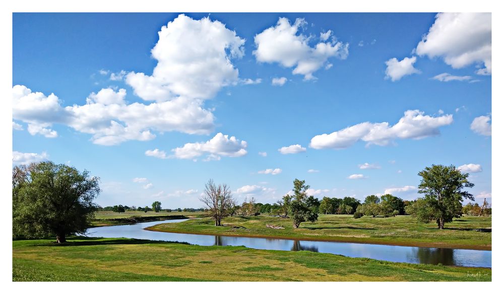 Alte Elbe bei Beuster