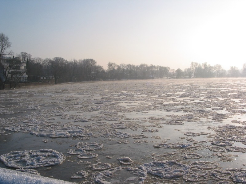 Alte Elbe in Magdeburg 2