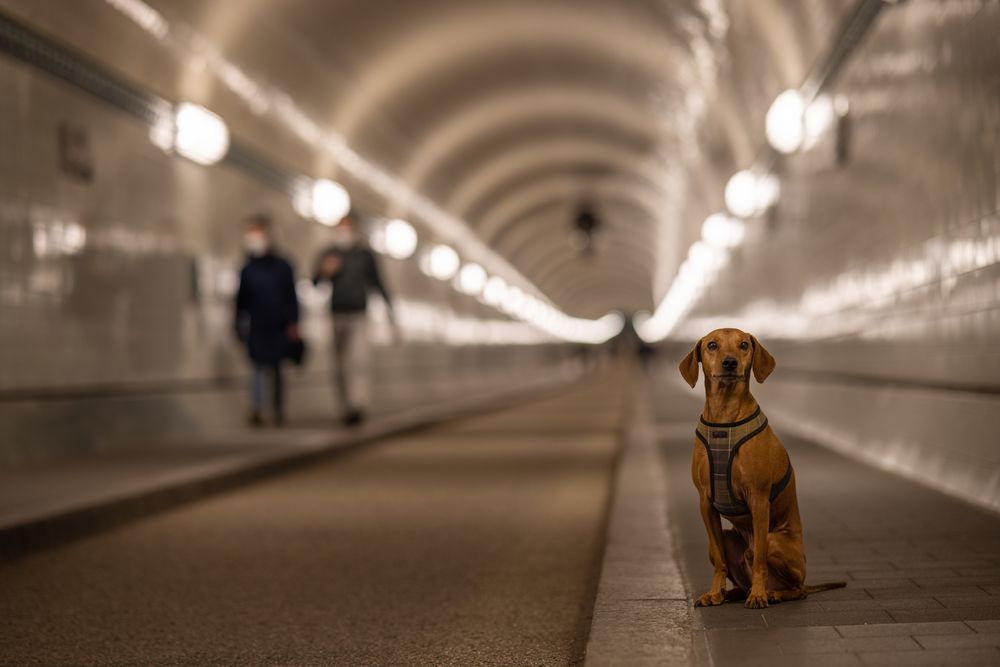 Alte Elbtunnel