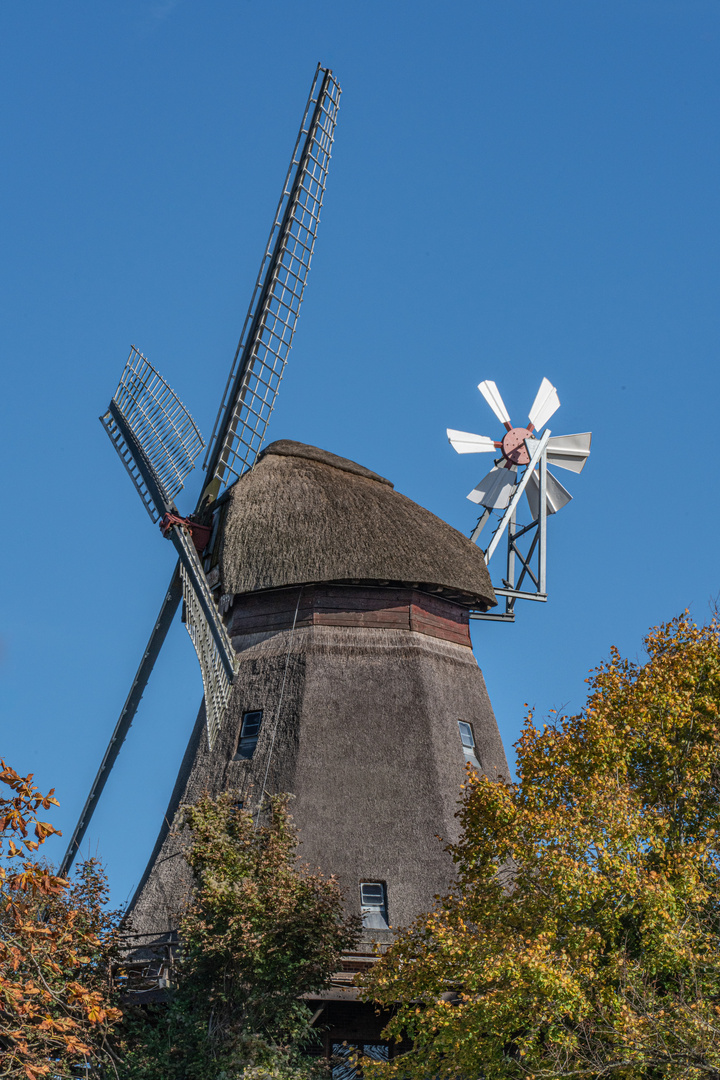 Alte Eutiner Mühle - Holsteinische Schweiz