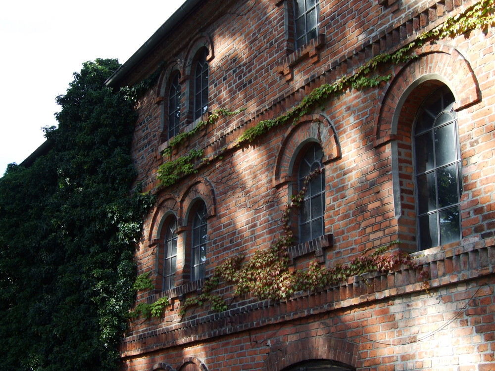 Alte Fabrik im Dornröschenschlaf