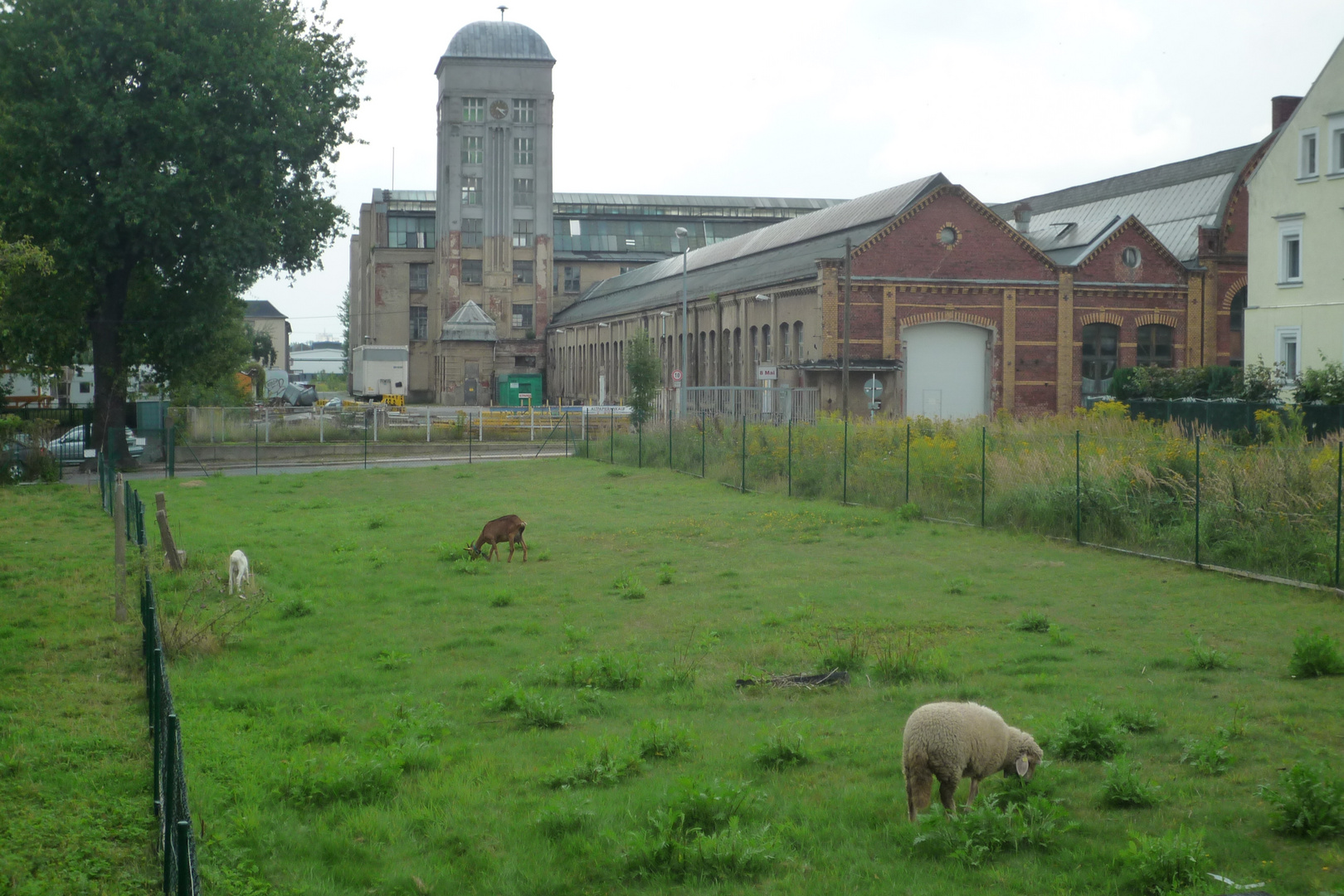 alte Fabrik in Siegmar..