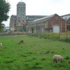 alte Fabrik in Siegmar..