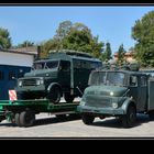 Alte Fahrzeuge des BGS (jetzt Bundespolizei)