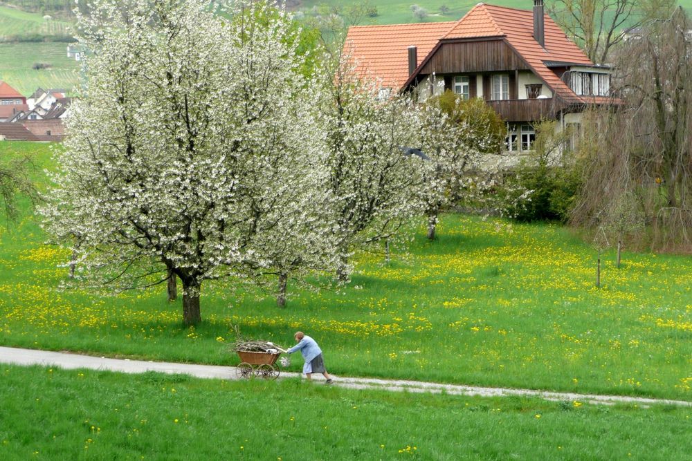 Alte Frau mit Chaise