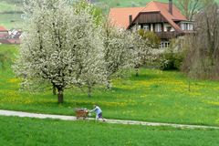 Alte Frau mit Chaise