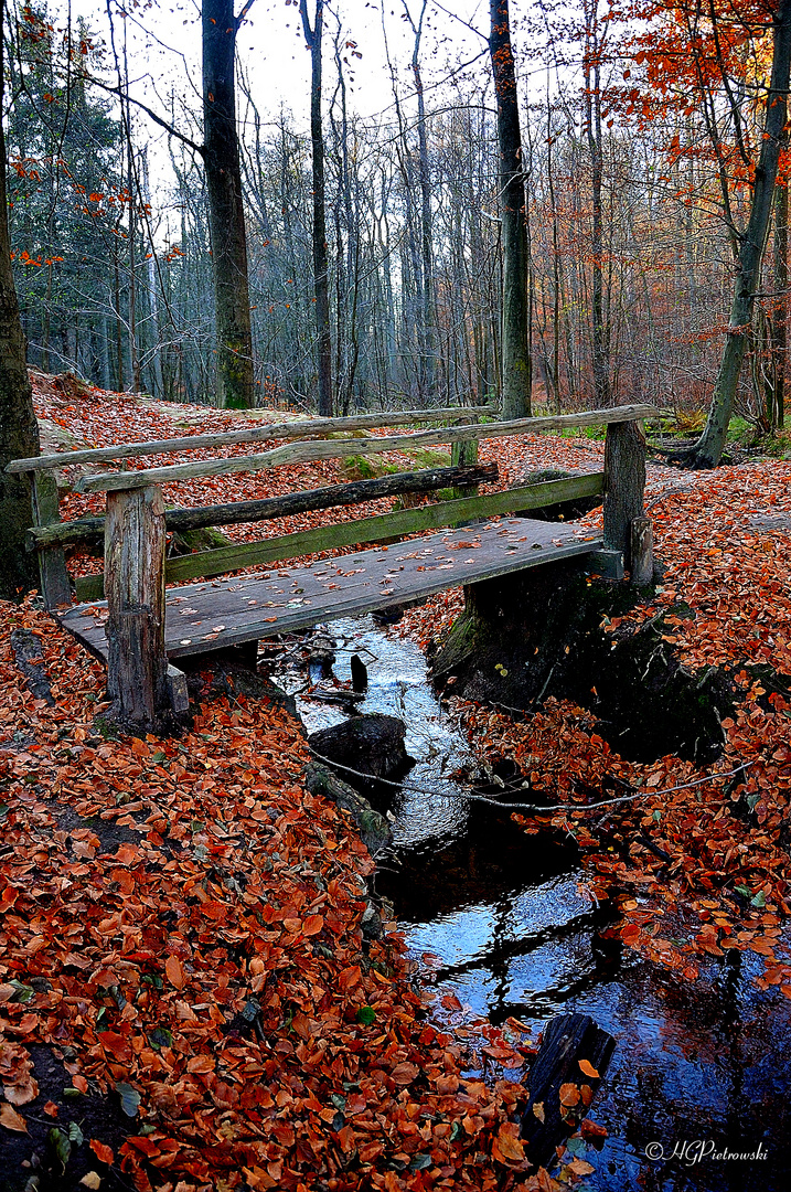 Alte Fußgängerbrücke