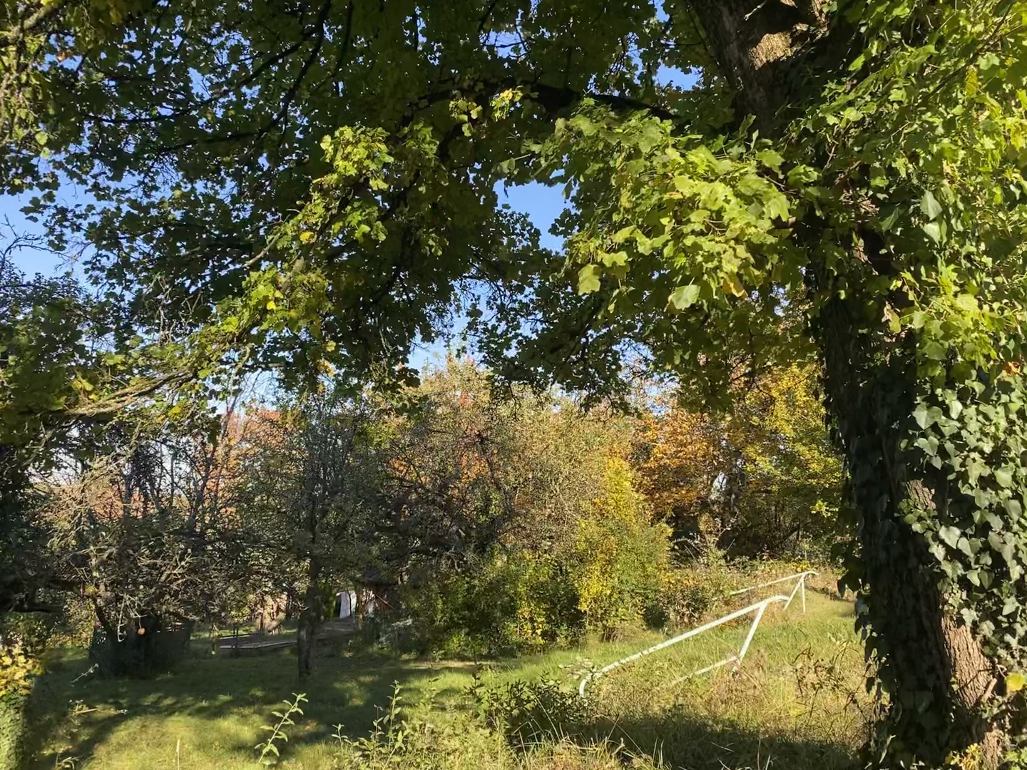 alte Gärten im beginnenden Herbstgewand 