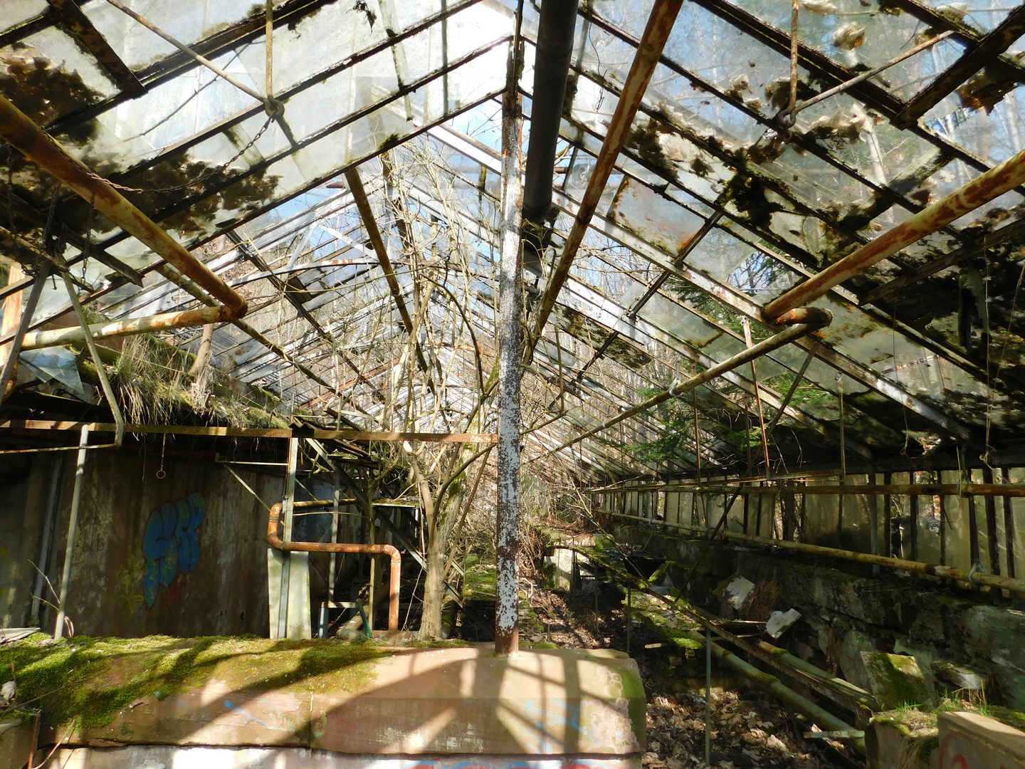 Alte Gärtnerei Foto & Bild natur Bilder auf