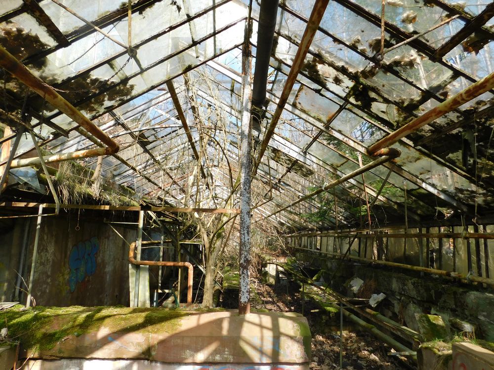 Alte Gärtnerei Foto & Bild natur Bilder auf