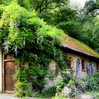 Alte Garage auf dem Forellengut