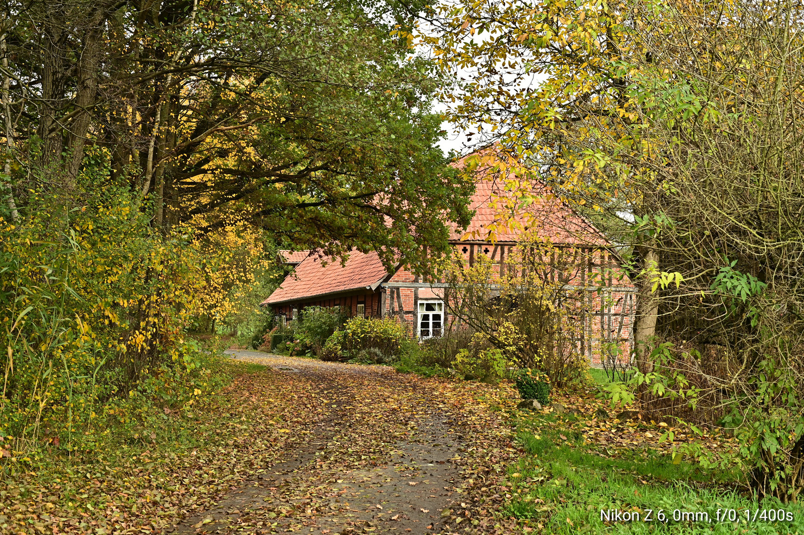 Alte Gosemühle 