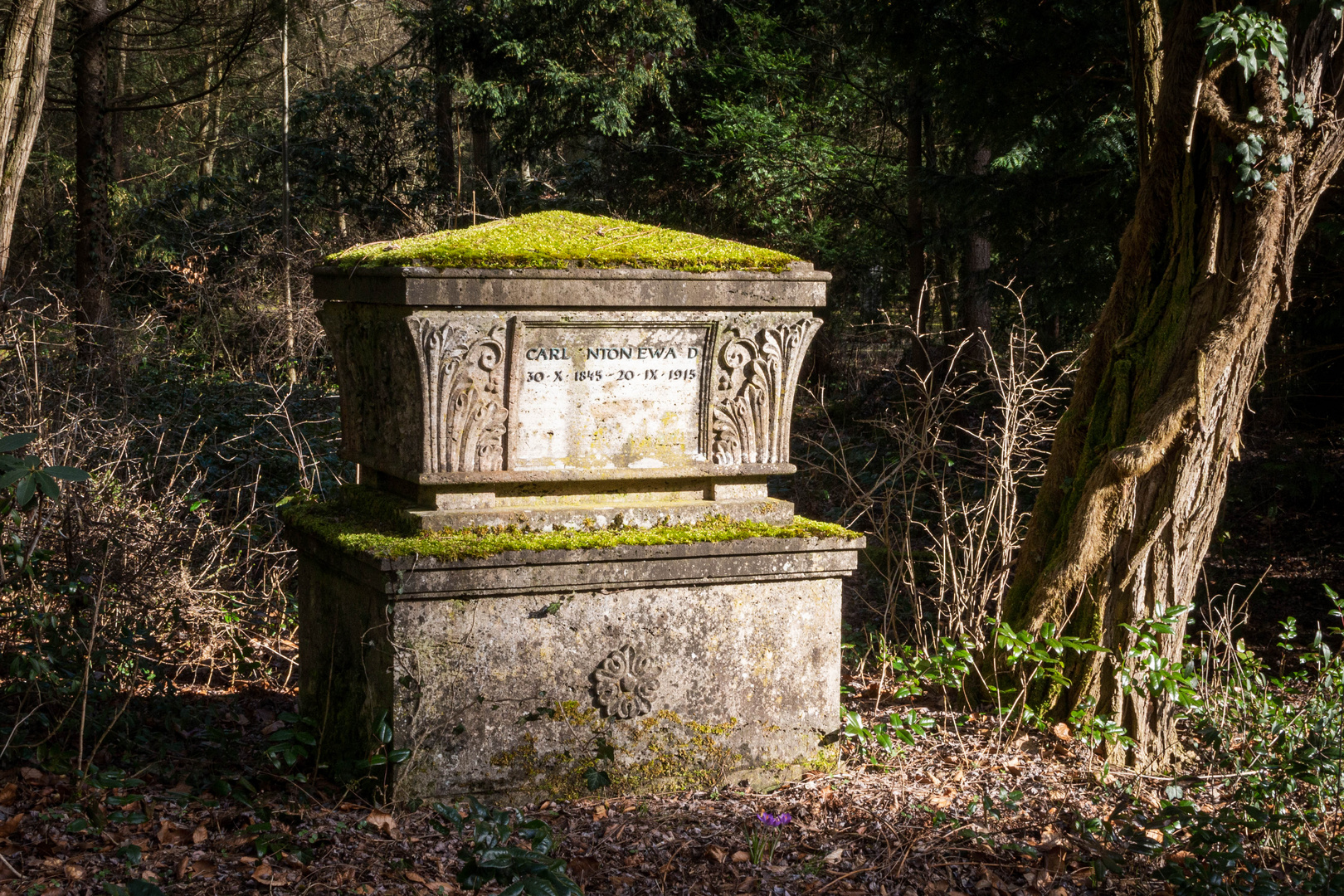 alte Grabstätte auf dem Waldfriedhof Stahnsdorf