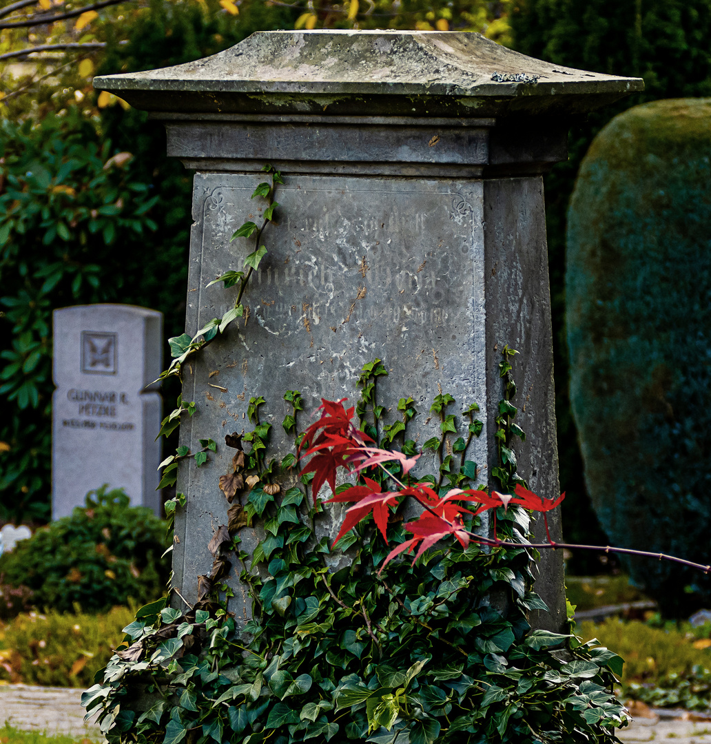 Alte Grabstelle, mit Efeu umrankt