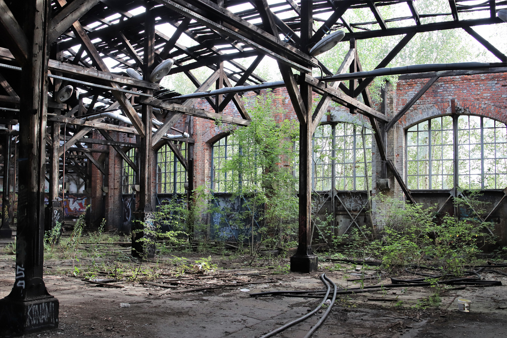 alte Halle Foto &amp; Bild | projekte, thementage, 5 - freitag nach ...