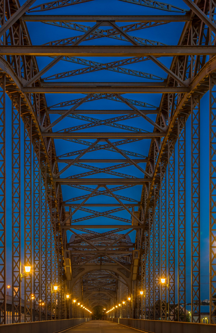 Alte Hamburger Elbbrücke