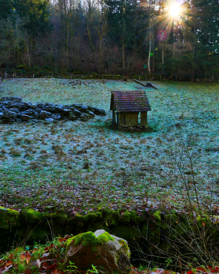 Alte Heuhütte im Murgtal 