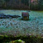 Alte Heuhütte im Murgtal 