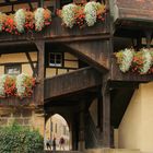 Alte Hofhaltung in Bamberg (1)