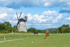 Alte Holländer-Windmühle in Benz auf Usedom.