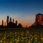 alte Holländerwindmühle am Ortsrand von Unseburg