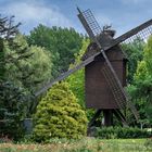 Alte Holländische-Bockwindmühle 001