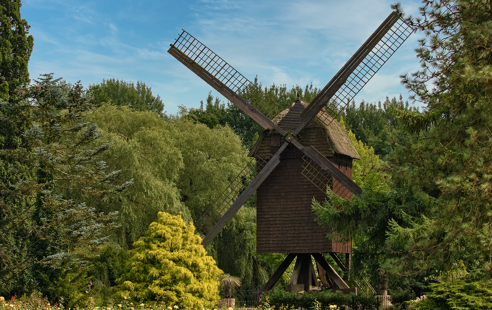 Alte holländische Mühle 001