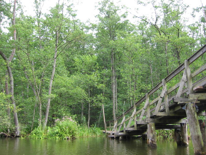 alte Holzbrücke