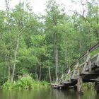 alte Holzbrücke