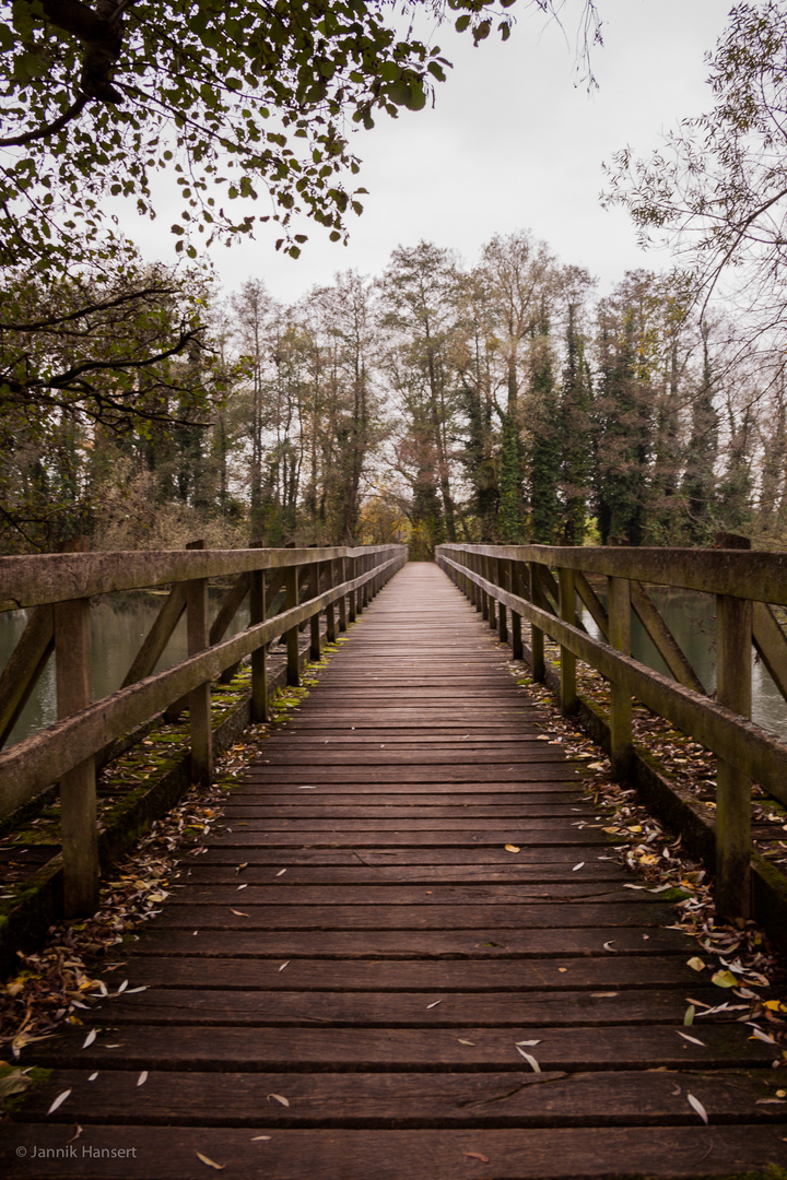 Alte Holzbrücke im Herbst