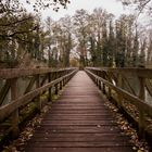 Alte Holzbrücke im Herbst