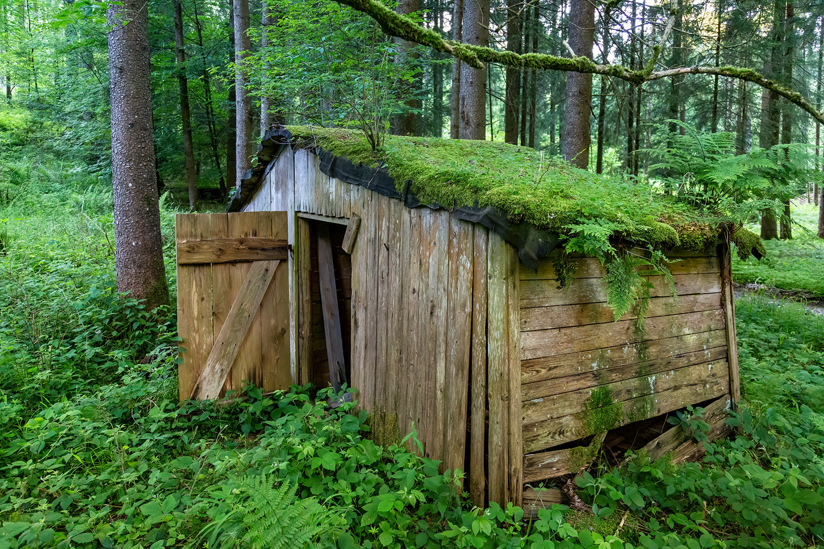 Alte Holzer-Hütte