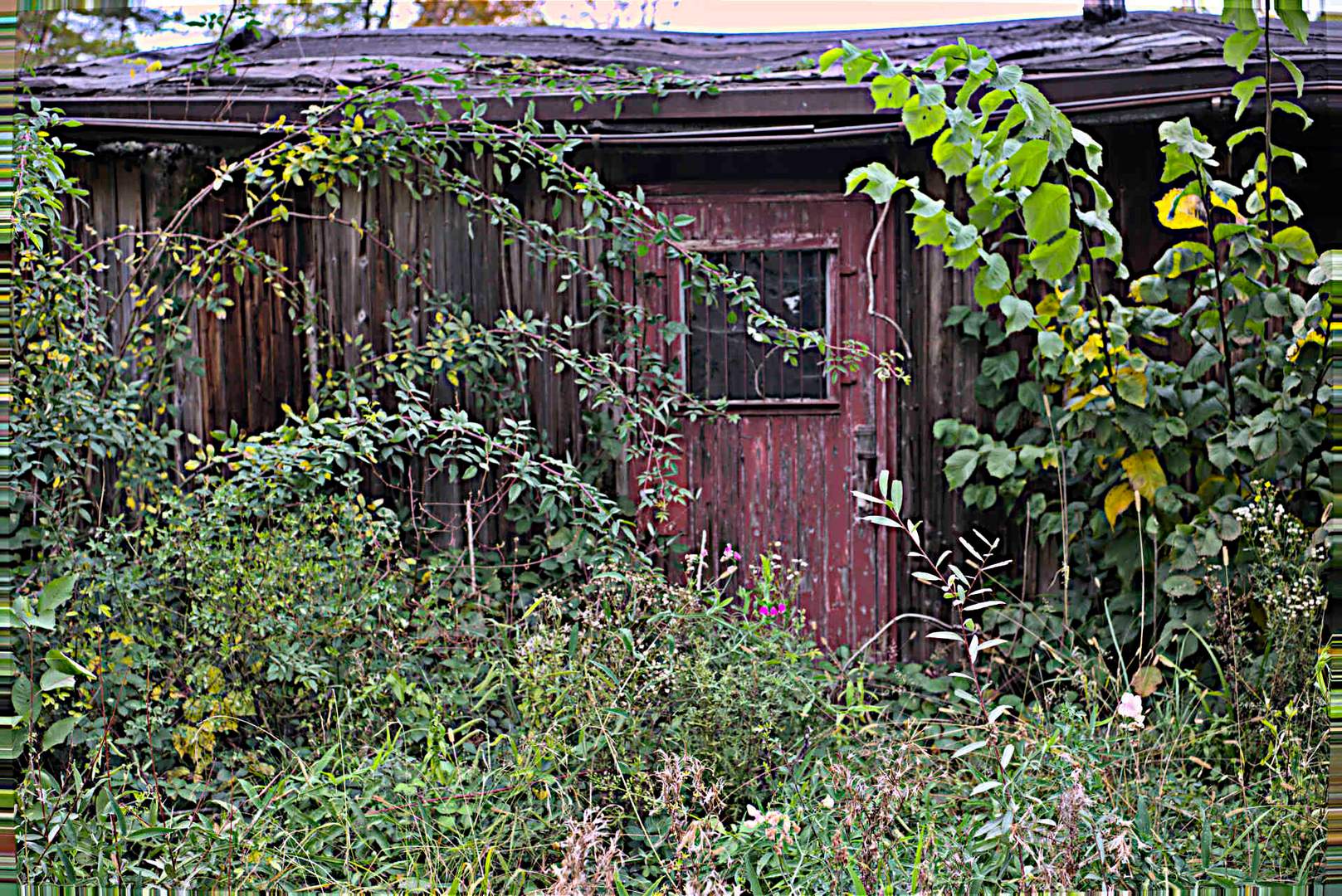 Alte Hütte