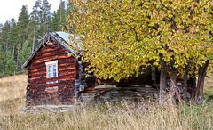 Alte Hütte