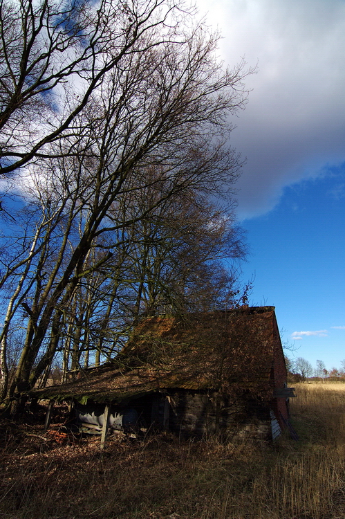 Alte Hütte