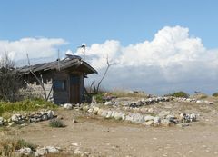 alte Hütte am Hafen ...... mit Solar und TV :-)