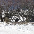 Alte Hütte auf der Piste