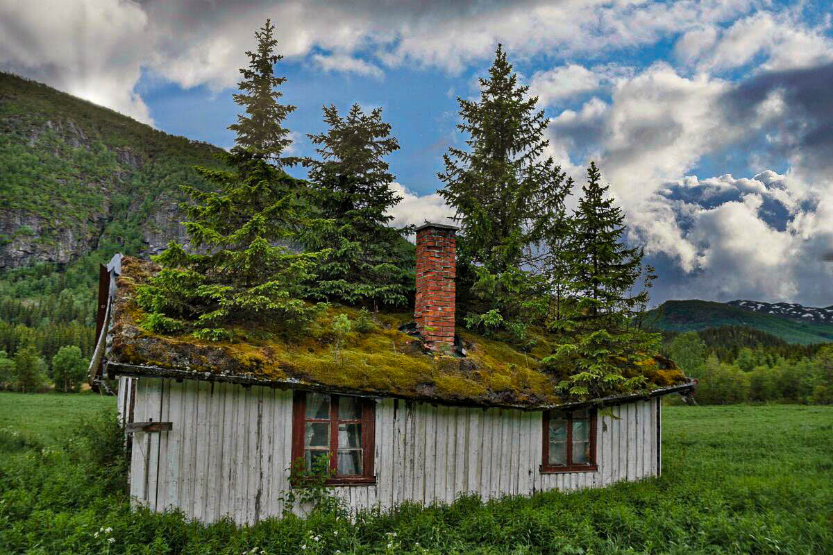 Alte Hütte aus Holz 