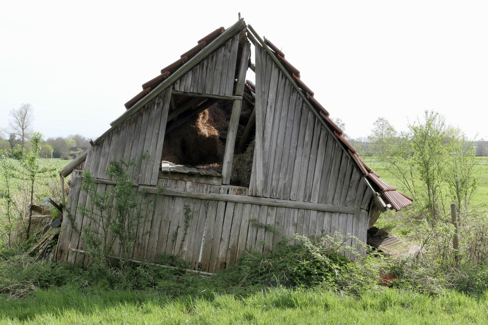 Alte Hütte Foto & Bild motive Bilder auf