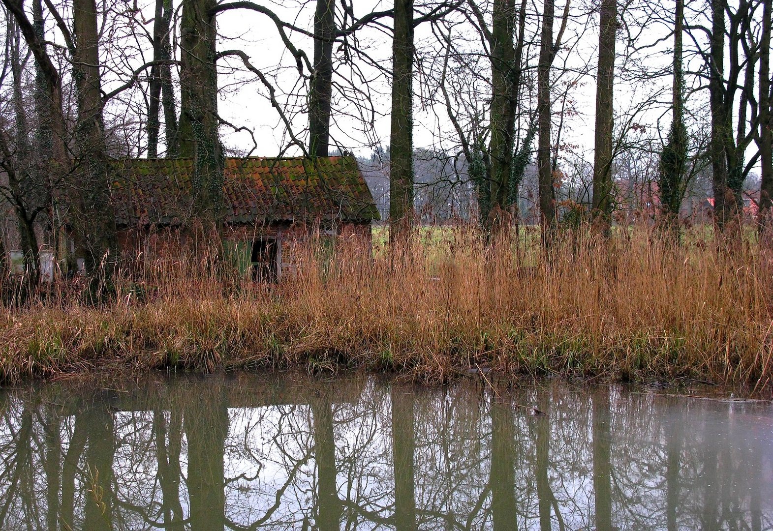 Alte Hütte im Schilf