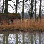 Alte Hütte im Schilf