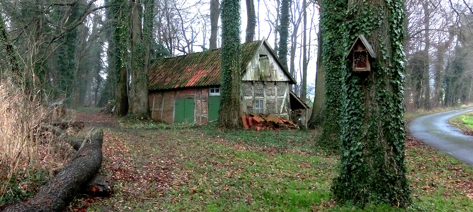 Alte Hütte im Wald