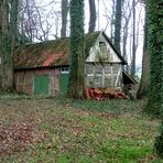 Alte Hütte im Wald