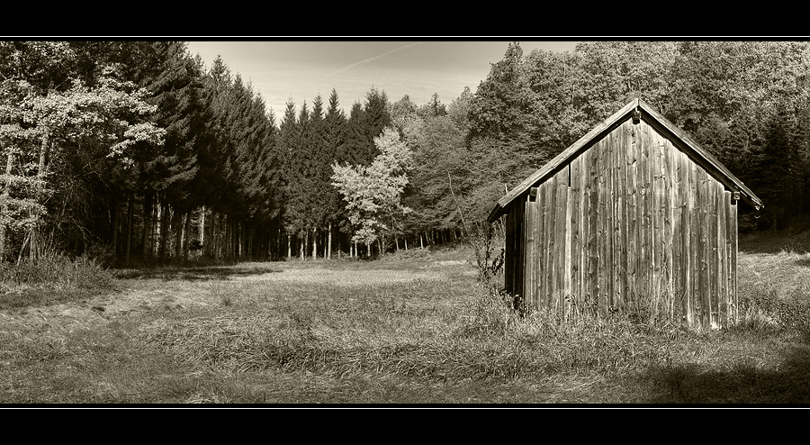 Alte Hütte im Wald