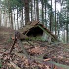 Alte Hütte im Wald