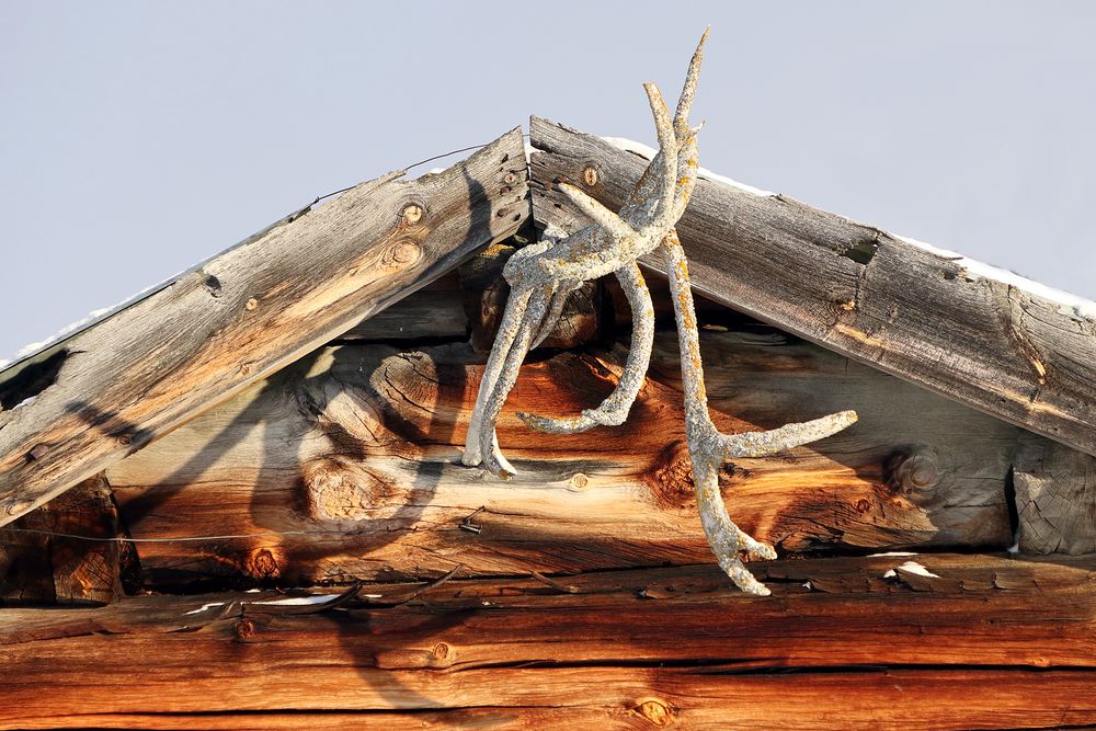 Alte Hütte mit altem Geweih