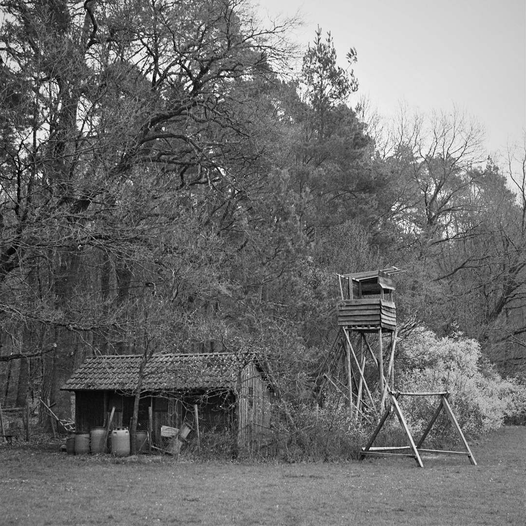 Alte Hütte mit Ausguck